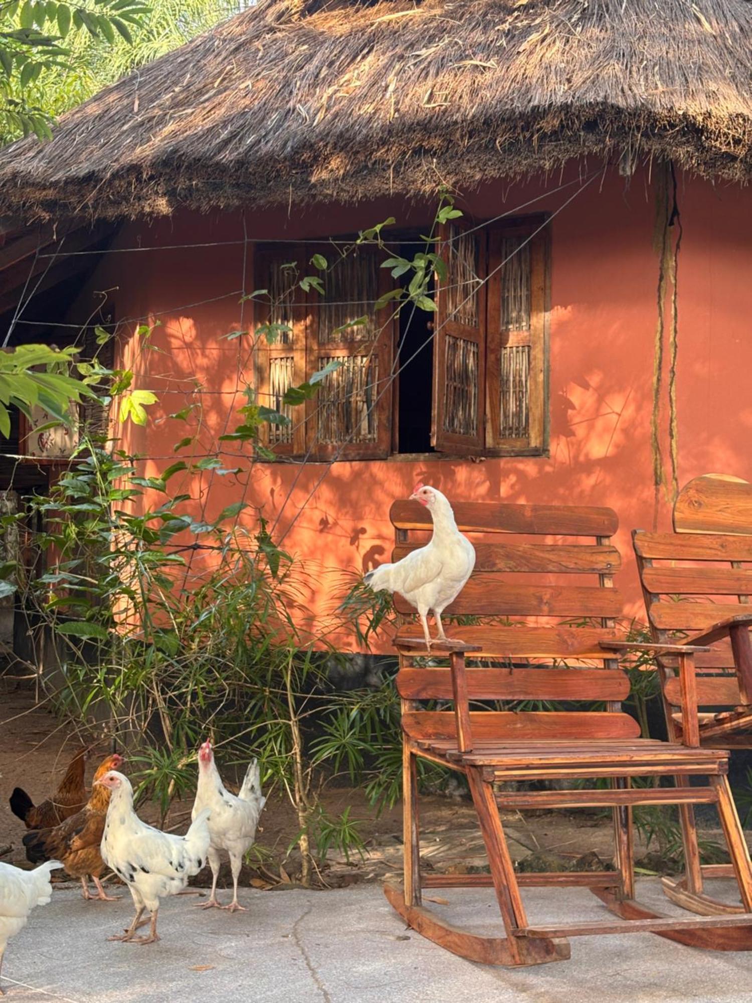 Fromager Villa Cap Skirring Dış mekan fotoğraf